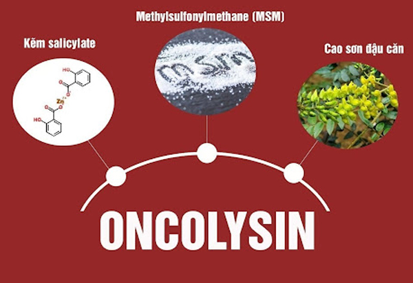 Thành phần chính Oncolysin giúp cải thiện ung thư